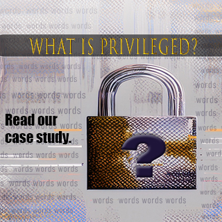 Read our Litigation Case Study on Privilege